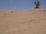 hot weather finally! the dunes by the beach in Indiana (not kidding, I swear it's Indiana)