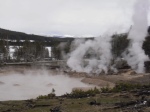 some of the park's many geysers